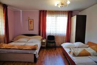 Гостевой дом Pensiunea Ilinca Пьятра-Нямц Стандартный двухместный номер с 1 кроватью и общей ванной комнатой-2